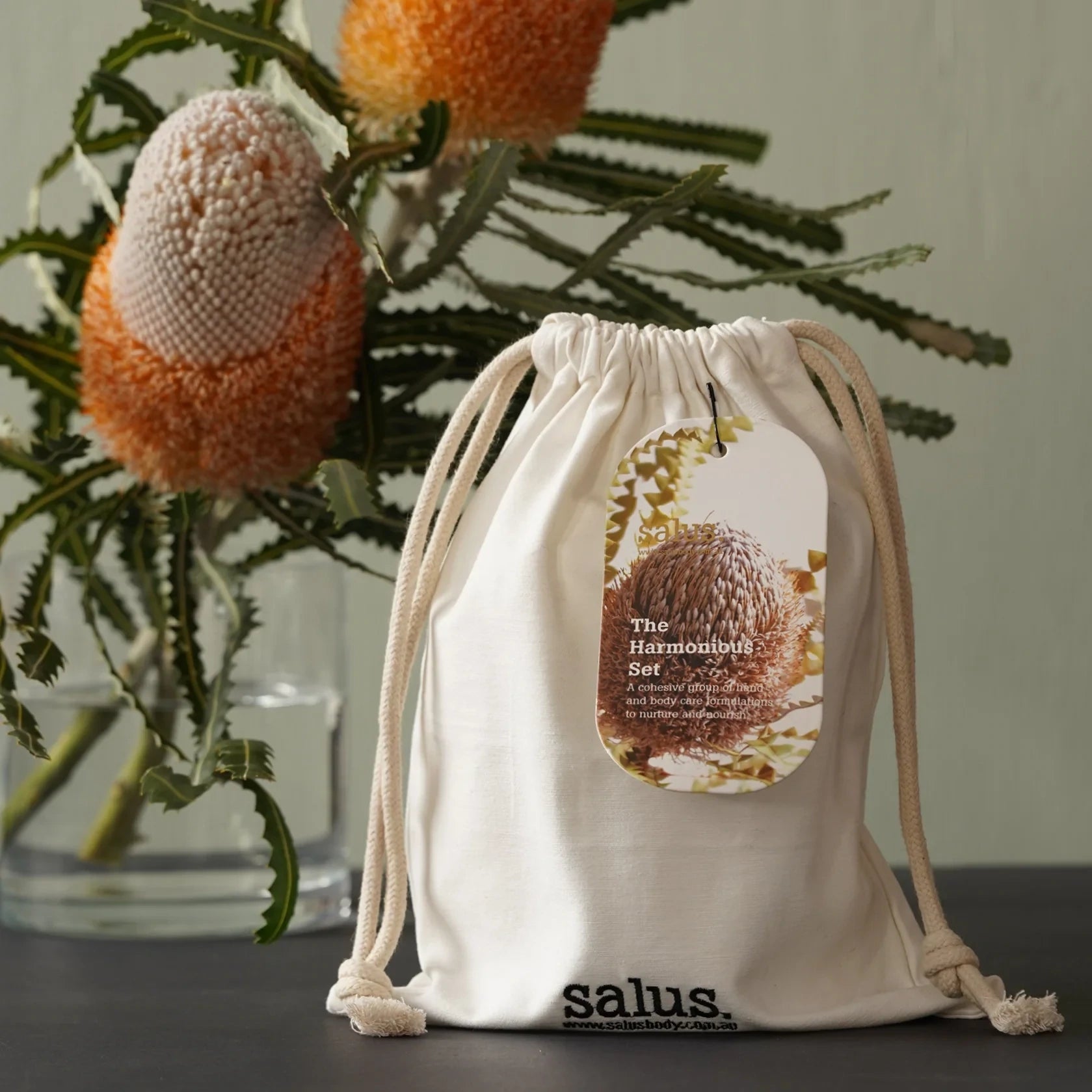 SALUS - The Harmonious Set