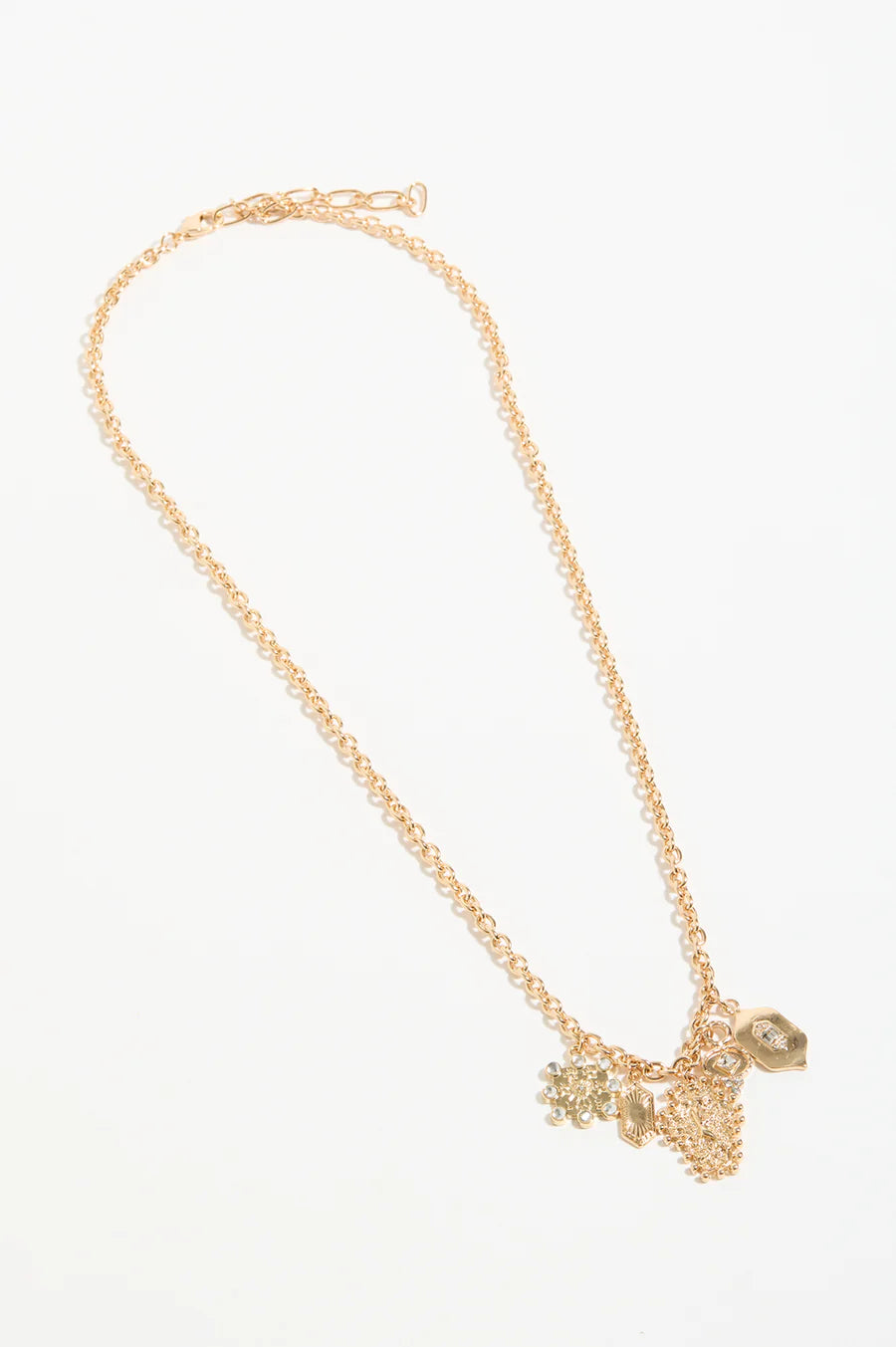 Long Chain Cluster Nacklace - Gold