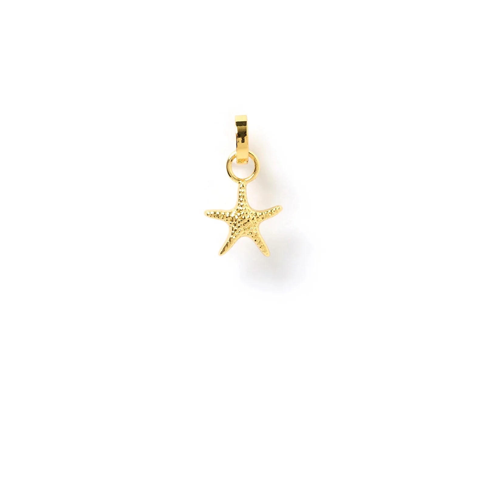 Sea Star Charm