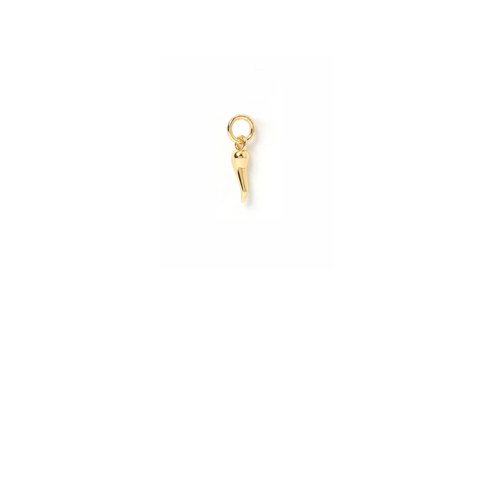 Cornicello Gold Charm - Small