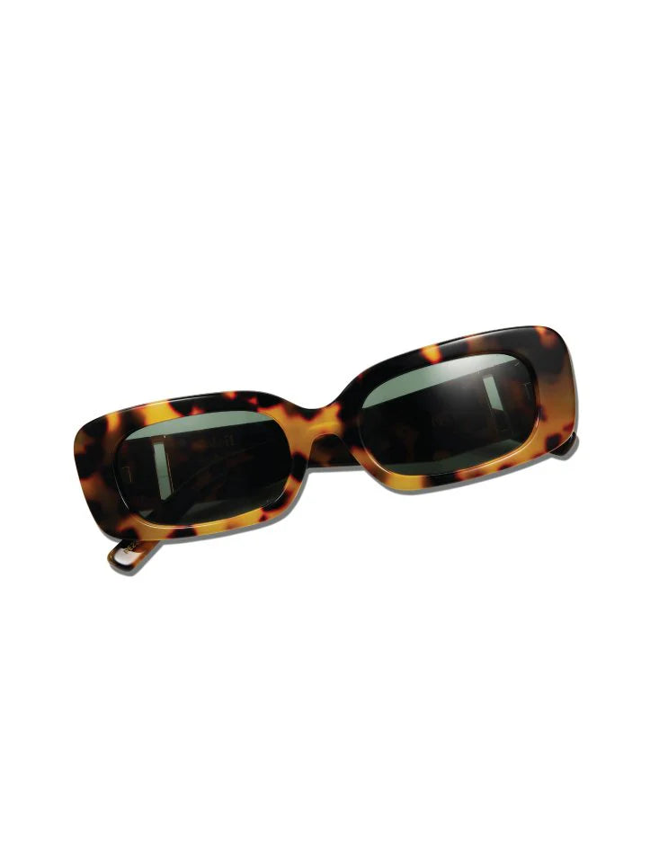 Soleil Soleil X Pared - INTI Tortoise